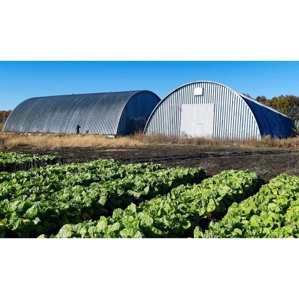 Ангар безкаркасний 14х40 зерносховище A1440-1 фото
